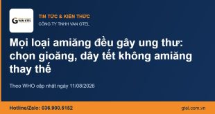 WHO: mọi loại amiăng đều gây ung thư – chọn gioăng, dây tết không amiăng thay thế Gioăng, dây tết chèn không amiăng thay thế amiăng trắng – CÔNG TY TNHH VAN GTEL